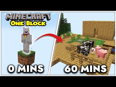 Starting From a SINGLE Block… This Is Minecraft ONE BLOCK! | Minecraft Survival Mod Let's Play