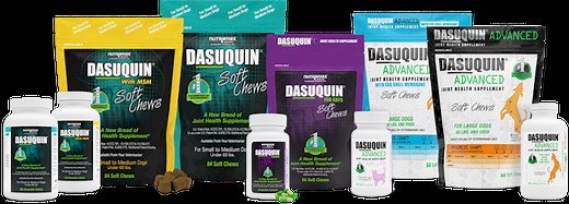 Dasuquin® Joint Health Supplements