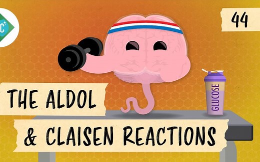 【Crash Course 中英双字】十分钟速成课·有机化学 第44集 羟醛反应和克莱森反应