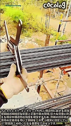 プレストレストコンクリートの鋼線定着作業 #worker #process #construction #concrete #technology