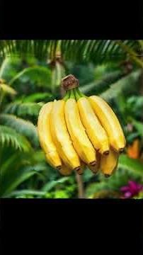 3 Foods to Help an Upset Stomach #easynutrition