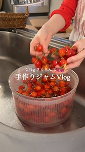 【2.5kgさくらんぼ仕込み】ジャム作りvlog🍒 今回ジャムで使用した品種は 「 香夏錦 」です。 本来の甘さを生かしたかったから 砂糖は少なめにしてます。 保存性は低いため、 2週間以内に食べてください。 ┈┈┈┈┈┈┈┈┈┈ ￤さくらんぼ…500g（種アリ） ￤★砂糖…50g ￤★レモン汁…大さじ1/2 ￤煮沸消毒瓶 1️⃣枝（ﾍﾀ?）とタネを取り除く。 2️⃣鍋にさくらんぼと、★を入れて 水分が出るまで放置（しなくてもいい） 3️⃣中火弱で煮詰めていき途中で アクが出たら取り除く。 4️⃣水分が減ってトロトロになればOK 5️⃣煮沸消毒したての瓶に熱々のジャムを 入れて蓋をしたら逆さにして粗熱が取れるまで放置 完成🌟 #同棲ごはん #さくらんぼ. #さくらんぼジャム