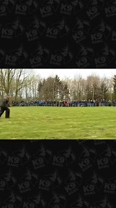 MALINOIS #EXTREME #DOGS #K9BANG #K9 #KNPV #56 | K9 BANG