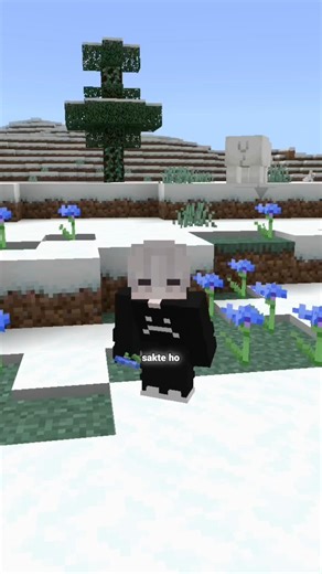 The Real Use of Lapis Lazuli in Minecraft 😮