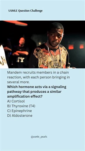 USMLE High-Yield Questions on Instagram: "Chain reaction go brrr 💥📈 ⸻ EXPLANATION C) Epinephrine acts through a G-protein–coupled receptor (β-adrenergic receptor) that triggers a second-messenger cascade. When epinephrine binds its receptor, it activates a G protein, which stimulates adenylate cyclase, increasing cAMP and activating protein kinase A. Each step activates multiple downstream molecules, creating signal amplification. This cascade allows a small amount of hormone to produce a larg