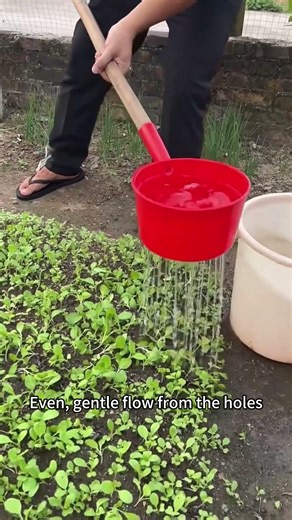 DIY Watering Ladle: Gentle Flow for Seedlings