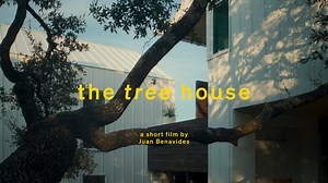 THE TREE HOUSE