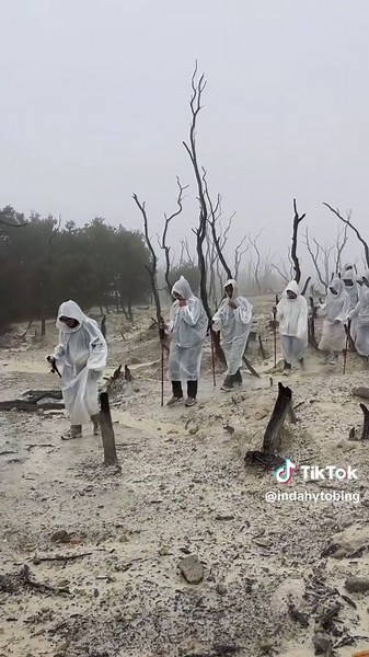 Playlist Lagu Terbaik EXO dan Rekomendasi Sekte OhMyTrip