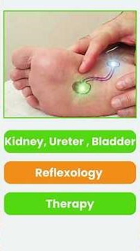 Kidney, Ureter & Bladder Reflexology Therapy | Natural Detox & Fluid Balance