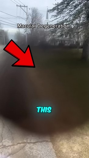 Understanding How Blind People Perceive the World