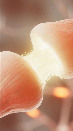 3D Microanatomy by VOKA: A Stunning Exploration of Cells and Tissues