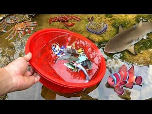 Fishing Game for Kids 🎣🐠 | Discover Colorful Ocean Animals 🌊 Fun Learning Adventure