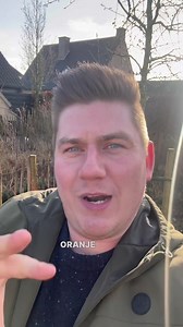 Cornus mas of het gele kornoelje. 😁👇🏼 | Angelo Dorny