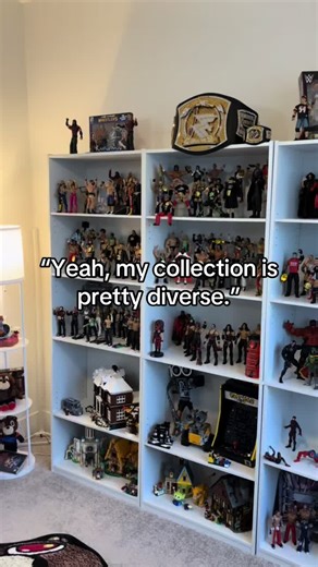 Diverse WWE Action Figure Collection: A Personal Touch