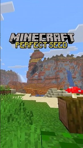 PERFECT Minecraft Seed (SUPER RARE)