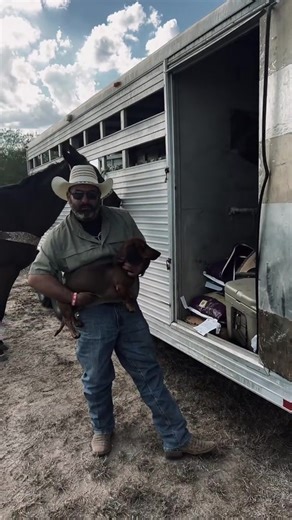 Funny Wiener Dog Moments That Will Make You Smile