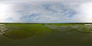Paddy fields in the Sri Lanka. 360º Video | 360Cities