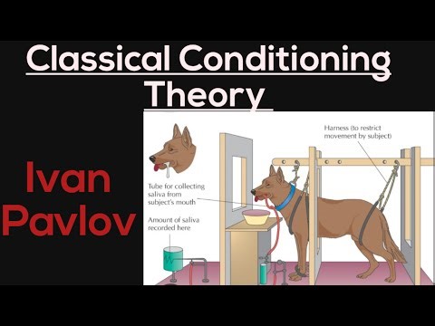 Classical conditioning theory by Ivan Pavlov in easy way