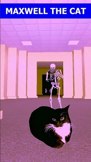 Maxwell The Cat Dancing Song 🐈 #maxwellcat #meme #memes