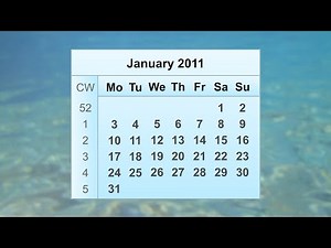 January 2011 Calendar