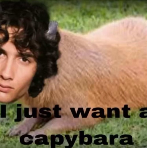 Why Capybaras Make Wonderful Pets