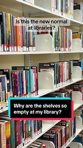 Understanding Library Standards: Concerns and Insights