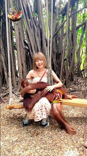 orangutan with girl | bangkok monkey | safari world bangkok monkey show | safari world bangkok