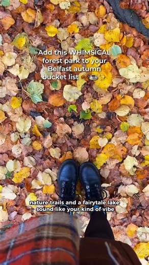 Hillsborough Forest Park is located just 25 minutes from Belfast! 😍🍂 Perfect for dog walks, family days out, or simply connecting with nature, make sure to add this whimsical park to your autumn bucket list! 🍁 Visit Lisburn Castlereagh #VisitBelfast | Visit Belfast