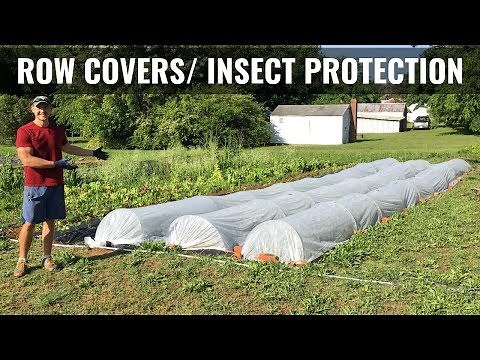 Row Covers/ Insect Netting - Start to Finish