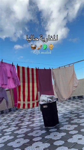 Vidéos de 📌mrr benjouda♥️ (@mrr.benjouda) avec son original - 📌mrr benjouda♥️