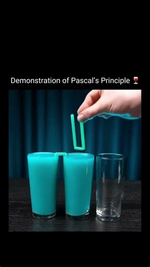 pascal's principle 😱 #science #physics #chemistry #experiment #viral #liquid #ytshorts
