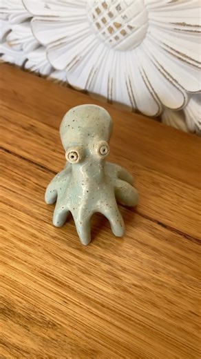 Meet the cutest lil baby Octopus 🥰