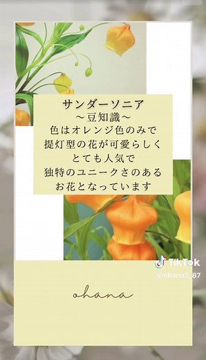 おすすめのアカウント