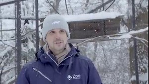 Ça sert à quoi les zoos en 2021? Alors que certains remettent en question leur pertinence, on en a visité deux pour discuter du bien-être de leurs animaux. | Rad