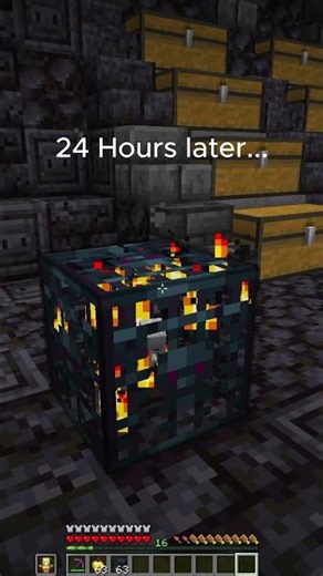 I Tested 1,000,000 Skeleton Spawners for 24 Hours on DonutSMP (INSANE MONEY)