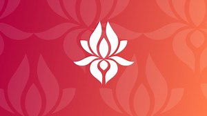 Real Conversations about Frequently Asked DEI Questions