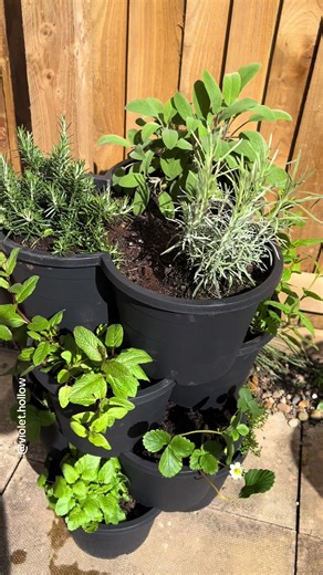 Stackable Herb Pots for Small Spaces | Gardening Project
