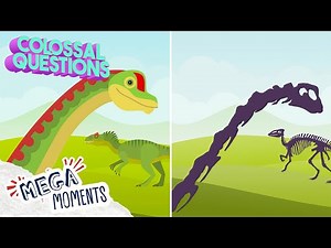 Where did the Dinosaurs go?! 🦖 | Facts for Kids 🧠 | Colossal Questions