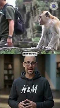 Generated with Personate Agent in 10 minutes, fully on auto-pilot.