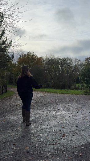 39K views · 3K reactions | Importing a retired 21 year old horse...