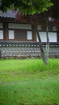 🌧️ Relax and Rewind with the calming sounds of rain. 🌿