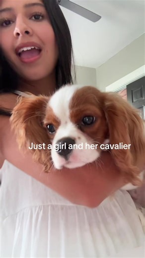 Growing Up Fast: A Cavalier King Charles Journey