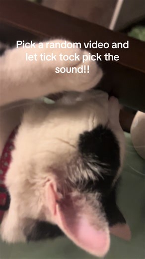 Drawbot.vr🤓🇲🇽(the artists) (@drawbot_vr)’s videos with son original - srnaa