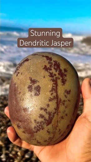 Mashallah, December may just be my favourite month of Jasper so far! So many amazing Jaspers! ❤️