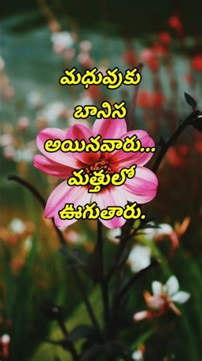 Quotations #4142 | manchi matalu | telugu sukthulu | jeevitha satyalu | top matalu | neethi vakyalu