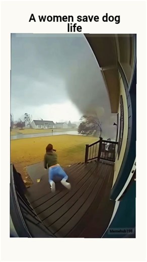 memelogist on Instagram: "The instagram reel fisheye camera clip of a golden retriever lounging calmly on a porch deck as a distant tornado churns over a rural field, contrasting with humans rushing indoors amid the December 16-18, 2025, U.S. super outbreak that spawned over 375 twisters. The video, overlaid with Arabic "music" subtitles, has garnered 59 likes and 9 reposts from the dog-focused account @Boody11av , emphasizing pets' intuitive serenity in crises without textual narration. User re