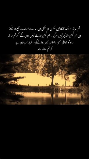 Never Feel Old with Companionship