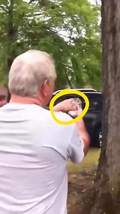 This old man released a squirrel back into the wild, and then the cat | La Pulga News