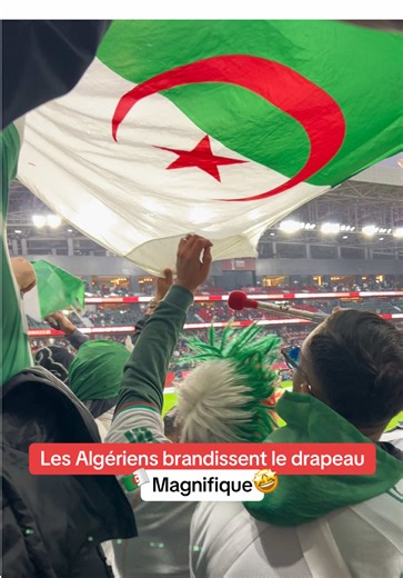 Levée de drapeau 🤩 #algerie
