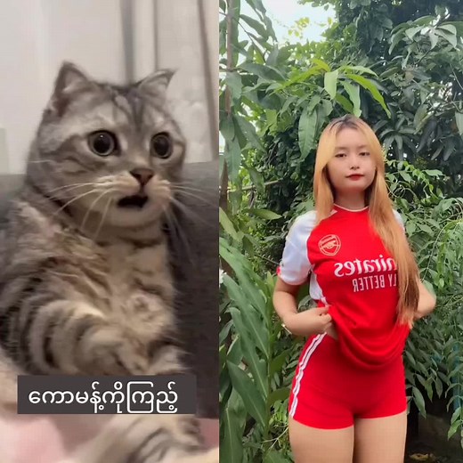 #ကောမန့်ထဲဝင်ကြည့် #foryoupage #tiktokmyanmar #fypシ゚viral